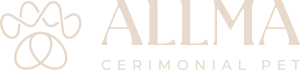 Logo da Allma