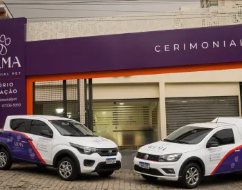 Fotografia dos carros da empresa