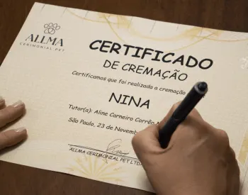 Fotografia do certificado de cremação